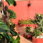Zen Adeje - Piscina Privada Climatizada * Costa Adeje (Tenerife)