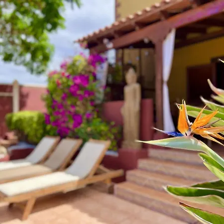 Zen - Tu Oasis En El Sur De Tenerife Willa
